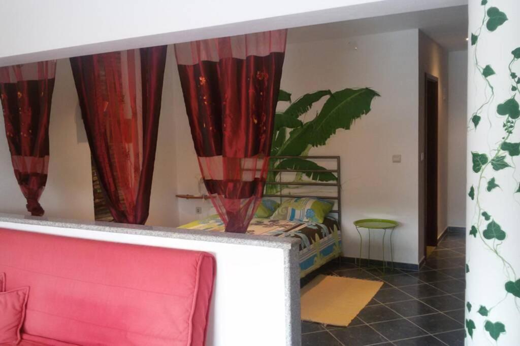 Studio Mira Abragao المظهر الخارجي الصورة