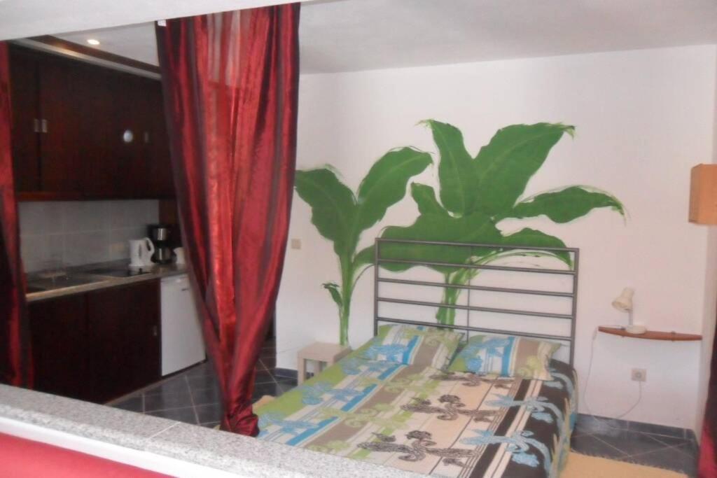 Studio Mira Abragao المظهر الخارجي الصورة